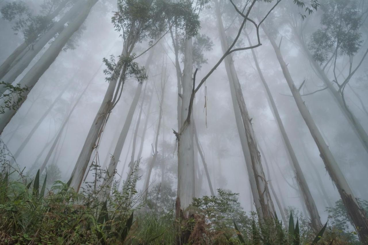 Saffronstays Kurinji Estate Kodaikanal Eksteriør bilde